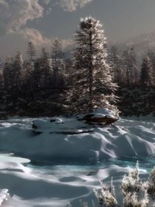 Preview wallpaper pine, river, snow, winter, evening, twilight