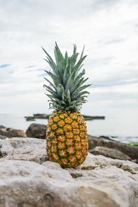 Preview wallpaper pineapple, beach, stones
