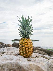 Preview wallpaper pineapple, beach, stones