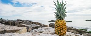 Preview wallpaper pineapple, beach, stones