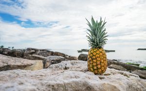 Preview wallpaper pineapple, beach, stones