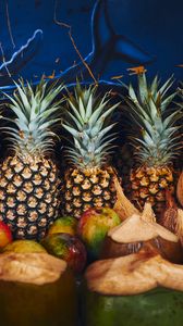 Preview wallpaper pineapple, fruit, coconuts