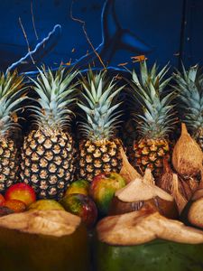 Preview wallpaper pineapple, fruit, coconuts