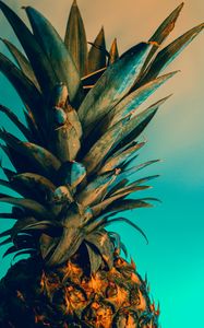 Preview wallpaper pineapple, fruit, exotic, tropical