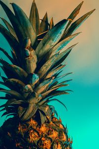 Preview wallpaper pineapple, fruit, exotic, tropical