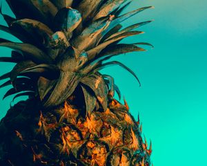 Preview wallpaper pineapple, fruit, exotic, tropical