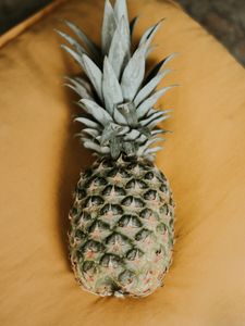 Preview wallpaper pineapple, fruit, exotic, leaves