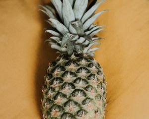 Preview wallpaper pineapple, fruit, exotic, leaves