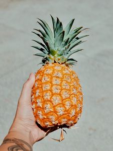 Preview wallpaper pineapple, fruit, hand, tropical