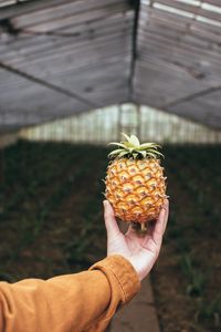 Preview wallpaper pineapple, fruit, hand, focus