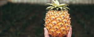 Preview wallpaper pineapple, fruit, hand, focus