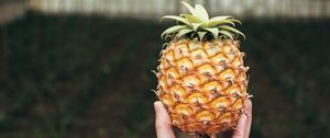Preview wallpaper pineapple, fruit, hand, focus