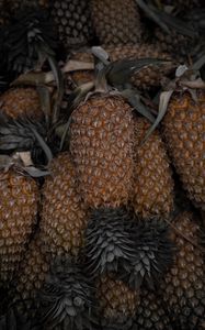 Preview wallpaper pineapple, fruit, leaves, macro