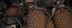 Preview wallpaper pineapple, fruit, leaves, macro