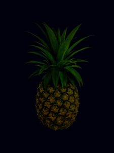 Preview wallpaper pineapple, fruit, leaves, tropical