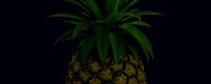 Preview wallpaper pineapple, fruit, leaves, tropical