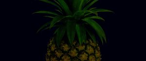 Preview wallpaper pineapple, fruit, leaves, tropical