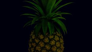 Preview wallpaper pineapple, fruit, leaves, tropical