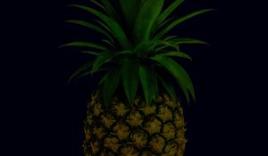 Preview wallpaper pineapple, fruit, leaves, tropical