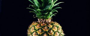 Preview wallpaper pineapple, fruit, leaves, black