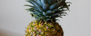 Preview wallpaper pineapple, fruit, leaves, ripe