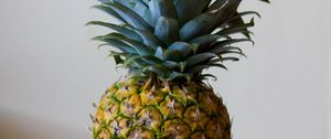 Preview wallpaper pineapple, fruit, leaves, ripe