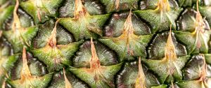 Preview wallpaper pineapple, fruit, macro, surface