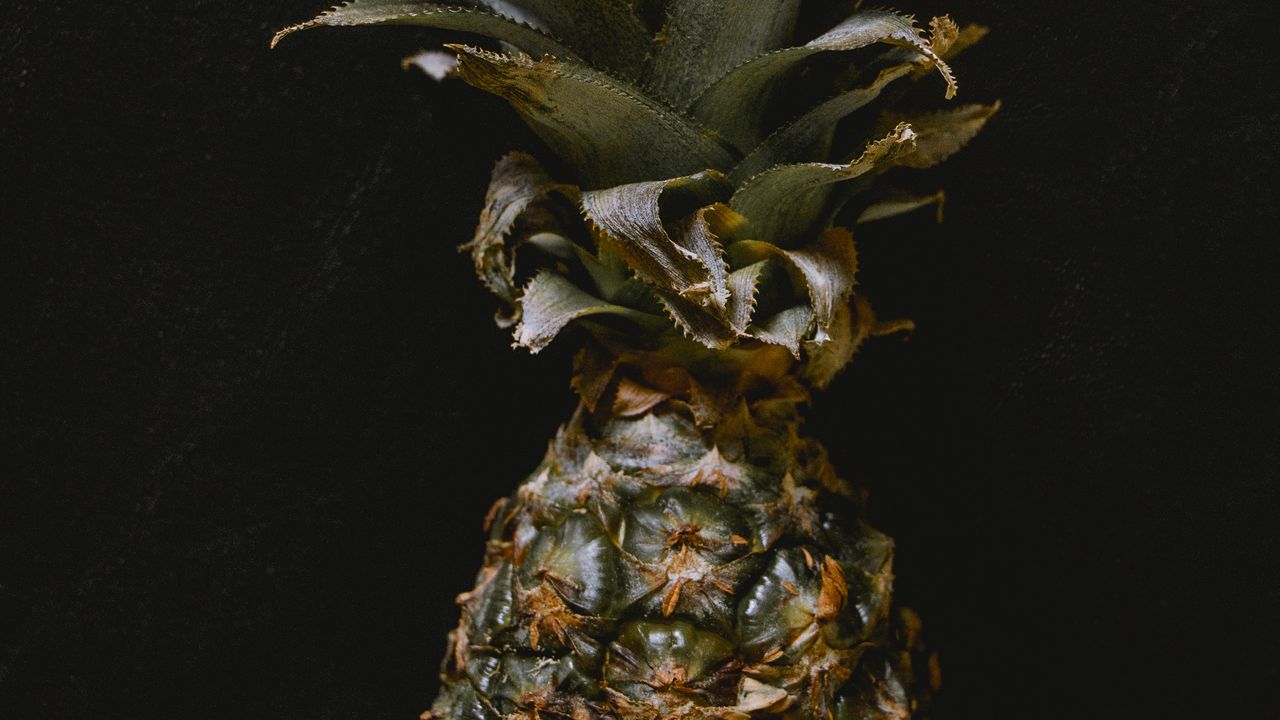 Wallpaper pineapple, fruit, macro, darkness