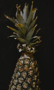 Preview wallpaper pineapple, fruit, macro, darkness