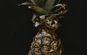 Preview wallpaper pineapple, fruit, macro, darkness