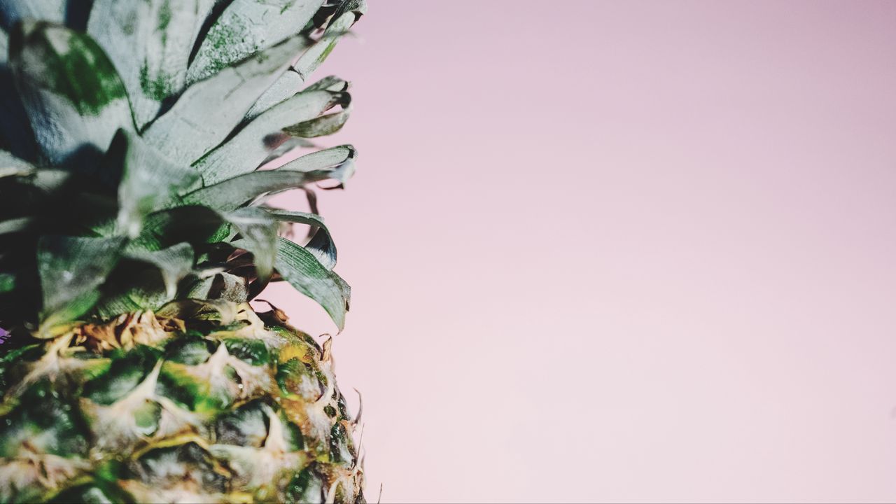 Wallpaper pineapple, fruit, minimalism