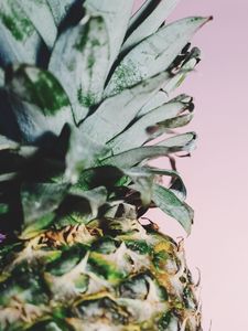 Preview wallpaper pineapple, fruit, minimalism