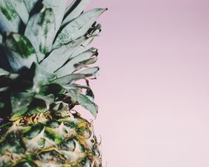 Preview wallpaper pineapple, fruit, minimalism