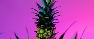 Preview wallpaper pineapple, fruit, plant, background
