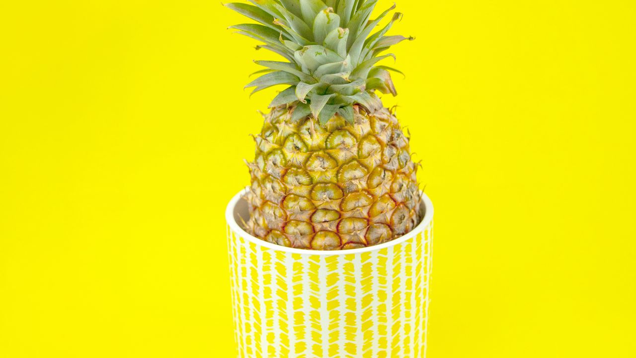Wallpaper pineapple, fruit, pot, plant, yellow, bright