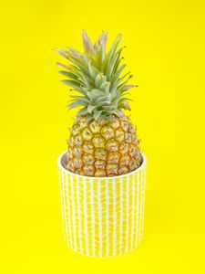 Preview wallpaper pineapple, fruit, pot, plant, yellow, bright