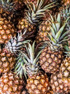 Preview wallpaper pineapple, fruit, ripe