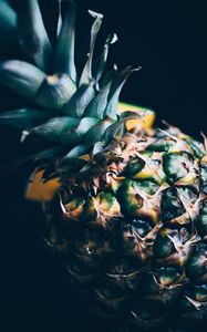 Preview wallpaper pineapple, fruit, tropical, exotic, closeup