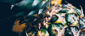 Preview wallpaper pineapple, fruit, tropical, exotic, closeup