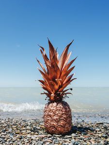 Preview wallpaper pineapple, fruit, tropical, gold, coast