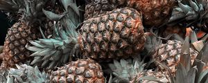 Preview wallpaper pineapple, fruit, tropical, leaves