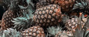 Preview wallpaper pineapple, fruit, tropical, leaves