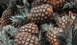 Preview wallpaper pineapple, fruit, tropical, leaves