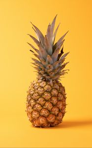 Preview wallpaper pineapple, fruit, yellow background