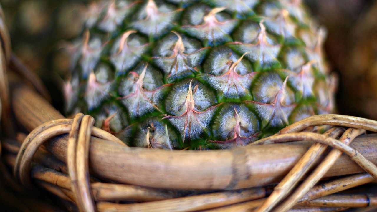 Wallpaper pineapple, green, woven, basket