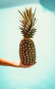 Preview wallpaper pineapple, hand, fruit