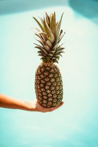 Preview wallpaper pineapple, hand, fruit