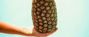 Preview wallpaper pineapple, hand, fruit