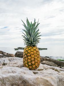 Preview wallpaper pineapple, rocks, beach