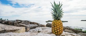 Preview wallpaper pineapple, rocks, beach